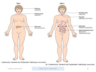 Tuesday, July 30, 2024 Ephraim Zulu - PATHOLOGY 65
 