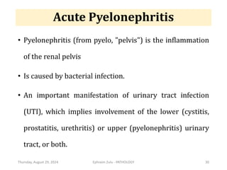 PATHOLOGY - 17 - Urological Pathology.pdf