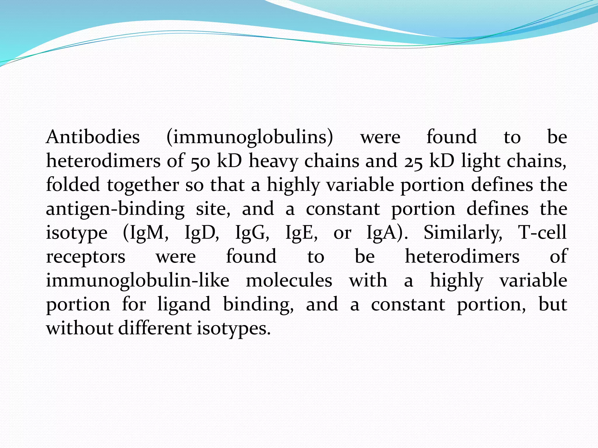 Antibodies (immunoglobulins) were found to be
heterodimers of 50 kD heavy chains and 25 kD light chains,
folded together so that a highly variable portion defines the
antigen-binding site, and a constant portion defines the
isotype (IgM, IgD, IgG, IgE, or IgA). Similarly, T-cell
receptors were found to be heterodimers of
immunoglobulin-like molecules with a highly variable
portion for ligand binding, and a constant portion, but
without different isotypes.
 