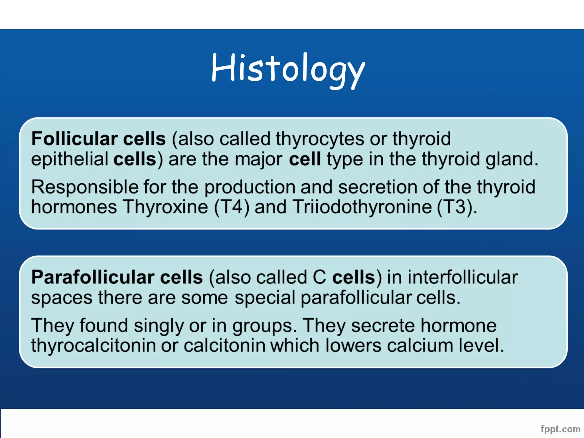 Anatomy of Thyroid and Parathyroid gland | PPT