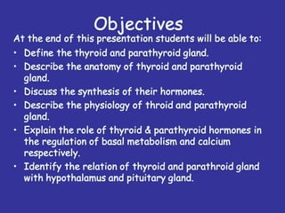 Anatomy of Thyroid and Parathyroid gland | PPT