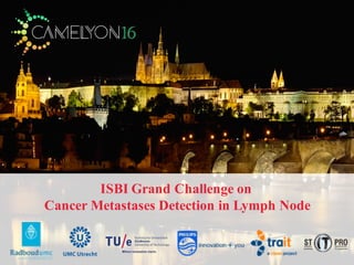 ISBI Grand Challenge on
Cancer Metastases Detection in Lymph Node
 