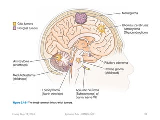PATHOLOGY of brain- 22 - Neuropathology.pdf