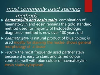 most commonly used staining
methods-
 hematoxylin and eosin stain- combination of
haematoxylin and eosin remains the gold standard,
method used for majority of histopathologic
diagnoses- method is now over 100 years old
 haematoxylin- is natural product of blue colour, is
used mostly for staining the nuclei- shows general
morphology of a tissue
 -eosin- the most frequently used partner stain
because it is easy to stain, and its red colour
contrasts well with blue colour of haematoxylin-
eosin stains cytoplasm
 