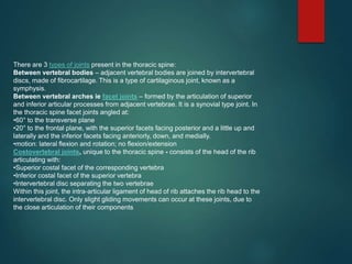 There are 3 types of joints present in the thoracic spine:
Between vertebral bodies – adjacent vertebral bodies are joined by intervertebral
discs, made of fibrocartilage. This is a type of cartilaginous joint, known as a
symphysis.
Between vertebral arches ie facet joints – formed by the articulation of superior
and inferior articular processes from adjacent vertebrae. It is a synovial type joint. In
the thoracic spine facet joints angled at:
•60° to the transverse plane
•20° to the frontal plane, with the superior facets facing posterior and a little up and
laterally and the inferior facets facing anteriorly, down, and medially.
•motion: lateral flexion and rotation; no flexion/extension
Costovertebral joints, unique to the thoracic spine - consists of the head of the rib
articulating with:
•Superior costal facet of the corresponding vertebra
•Inferior costal facet of the superior vertebra
•Intervertebral disc separating the two vertebrae
Within this joint, the intra-articular ligament of head of rib attaches the rib head to the
intervertebral disc. Only slight gliding movements can occur at these joints, due to
the close articulation of their components
 