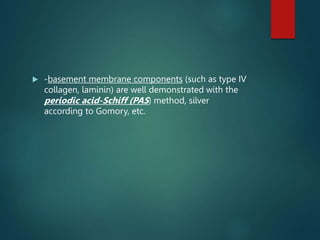  -basement membrane components (such as type IV
collagen, laminin) are well demonstrated with the
periodic acid-Schiff (PAS) method, silver
according to Gomory, etc.
 