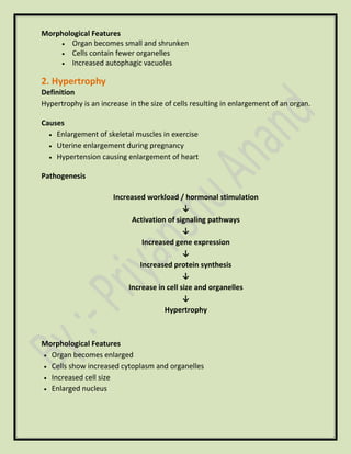 Morphological Features
• Organ becomes small and shrunken
• Cells contain fewer organelles
• Increased autophagic vacuoles
2. Hypertrophy
Definition
Hypertrophy is an increase in the size of cells resulting in enlargement of an organ.
Causes
• Enlargement of skeletal muscles in exercise
• Uterine enlargement during pregnancy
• Hypertension causing enlargement of heart
Pathogenesis
Increased workload / hormonal stimulation
↓
Activation of signaling pathways
↓
Increased gene expression
↓
Increased protein synthesis
↓
Increase in cell size and organelles
↓
Hypertrophy
Morphological Features
• Organ becomes enlarged
• Cells show increased cytoplasm and organelles
• Increased cell size
• Enlarged nucleus
 