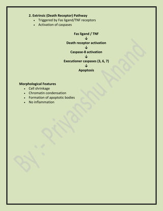 2. Extrinsic (Death Receptor) Pathway
• Triggered by Fas ligand/TNF receptors
• Activation of caspases
Fas ligand / TNF
↓
Death receptor activation
↓
Caspase-8 activation
↓
Executioner caspases (3, 6, 7)
↓
Apoptosis
Morphological Features
• Cell shrinkage
• Chromatin condensation
• Formation of apoptotic bodies
• No inflammation
 