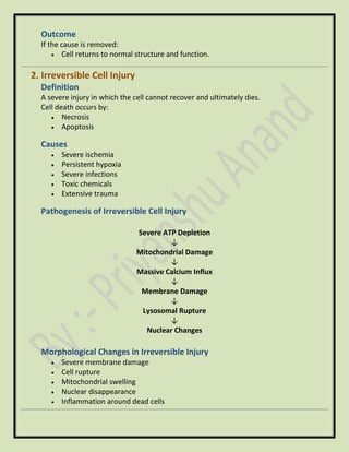 Outcome
If the cause is removed:
• Cell returns to normal structure and function.
2. Irreversible Cell Injury
Definition
A severe injury in which the cell cannot recover and ultimately dies.
Cell death occurs by:
• Necrosis
• Apoptosis
Causes
• Severe ischemia
• Persistent hypoxia
• Severe infections
• Toxic chemicals
• Extensive trauma
Pathogenesis of Irreversible Cell Injury
Severe ATP Depletion
↓
Mitochondrial Damage
↓
Massive Calcium Influx
↓
Membrane Damage
↓
Lysosomal Rupture
↓
Nuclear Changes
Morphological Changes in Irreversible Injury
• Severe membrane damage
• Cell rupture
• Mitochondrial swelling
• Nuclear disappearance
• Inflammation around dead cells
 