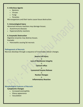 4. Infectious Agents
• Bacteria
• Viruses
• Fungi
• Parasites
Microorganisms and their toxins cause tissue destruction.
5. Immunological Injury
Abnormal immune reactions may damage tissues:
• Autoimmune diseases
• Hypersensitivity reactions
6. Enzymatic Destruction
Digestive enzymes may destroy tissues.
Example:
• Pancreatitis causing fat necrosis
Pathogenesis of Necrosis
Necrosis develops through a sequence of irreversible cellular changes.
Severe Cell Injury
↓
Loss of Membrane Integrity
↓
Calcium Influx
↓
Lysosomal Enzyme Release
↓
Nuclear Changes
↓
Inflammatory Reaction
Morphological Features of Necrosis
Cytoplasmic Changes
• Increased eosinophilia
• Glassy appearance
• Vacuolation
 