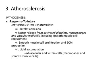 3. Atherosclerosis
PATHOGENESIS
c. Response-To-Injury
    -PATHOGENIC EVENTS INVOLVED:
       iv. Platelet adhesion
       v. Factor release from activated platelets, macrophages
    and vascular wall cells, inducing smooth muscle cell
    recruitment
       vi. Smooth muscle cell proliferation and ECM
    production
       vii. Lipid accumulation
                -extracellular and within cells (macropahes and
    smooth muscle cells)
 