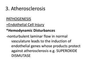 3. Atherosclerosis
PATHOGENESIS
+Endothelial Cell Injury
*Hemodynamic Disturbances
-nonturbulent laminar flow in normal
   vasculature leads to the induction of
   endothelial genes whose products protect
   against atherosclerosis e.g. SUPEROXIDE
   DISMUTASE
 