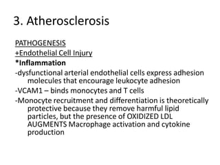 3. Atherosclerosis
PATHOGENESIS
+Endothelial Cell Injury
*Inflammation
-dysfunctional arterial endothelial cells express adhesion
    molecules that encourage leukocyte adhesion
-VCAM1 – binds monocytes and T cells
-Monocyte recruitment and differentiation is theoretically
    protective because they remove harmful lipid
    particles, but the presence of OXIDIZED LDL
    AUGMENTS Macrophage activation and cytokine
    production
 