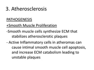 3. Atherosclerosis
PATHOGENESIS
+Smooth Muscle Proliferation
-Smooth muscle cells synthesize ECM that
   stabilizes atherosclerotic plaques
- Active Inflammatory cells in atheromas can
   cause intimal smooth muscle cell apoptosis,
   and increase ECM catabolism leading to
   unstable plaques
 