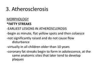 3. Atherosclerosis
MORPHOLOGY
*FATTY STREAKS
-EARLIEST LESIONS IN ATHEROSCLEROSIS
-begin as minute, flat yellow spots and then colaesce
-not significantly raised and do not cause flow
    disturbance
-virtually in all children older than 10 years
-coronary fat streaks begin to form in adolescence, at the
    same anatomic sites that later tend to develop
    plaques
 