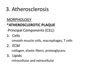 3. Atherosclerosis
MORPHOLOGY
*ATHEROSCLEROTIC PLAQUE
-Principal Components (CEL):
1. Cells
  -smooth muscle cells, macrophages, T cells
2. ECM
  -collagen, elastic fibers, proteoglycans
3. Lipids
  -intracellular and extracellular
 