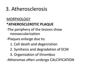 3. Atherosclerosis
MORPHOLOGY
*ATHEROSCLEROTIC PLAQUE
-The periphery of the lesions show
  neovascularization
-Plaques enlarge due to:
  1. Cell death and degenration
  2. Synthesis and degradation of ECM
  3. Organization of thrombus
-Atheromas often undergo CALCIFICATION
 