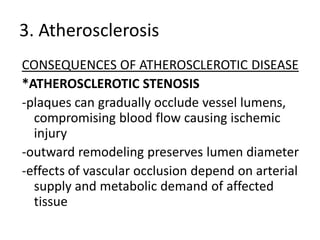 3. Atherosclerosis
CONSEQUENCES OF ATHEROSCLEROTIC DISEASE
*ATHEROSCLEROTIC STENOSIS
-plaques can gradually occlude vessel lumens,
  compromising blood flow causing ischemic
  injury
-outward remodeling preserves lumen diameter
-effects of vascular occlusion depend on arterial
  supply and metabolic demand of affected
  tissue
 