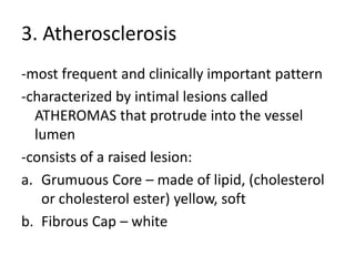 3. Atherosclerosis
-most frequent and clinically important pattern
-characterized by intimal lesions called
  ATHEROMAS that protrude into the vessel
  lumen
-consists of a raised lesion:
a. Grumuous Core – made of lipid, (cholesterol
   or cholesterol ester) yellow, soft
b. Fibrous Cap – white
 