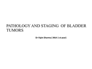 PATHOLOGYAND STAGING OF BLADDER
TUMORS
Dr Vipin Sharma ( Mch 1 st year)
 