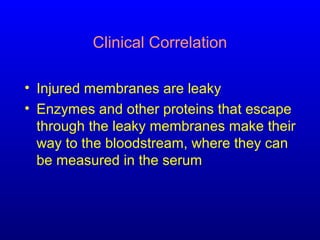 Clinical Correlation
• Injured membranes are leaky
• Enzymes and other proteins that escape
through the leaky membranes make their
way to the bloodstream, where they can
be measured in the serum
 