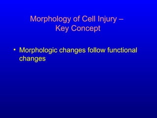 Morphology of Cell Injury –
Key Concept
• Morphologic changes follow functional
changes
 