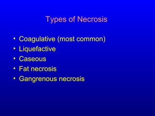 Types of Necrosis
• Coagulative (most common)
• Liquefactive
• Caseous
• Fat necrosis
• Gangrenous necrosis
 