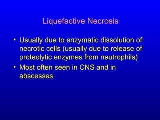 Liquefactive Necrosis
• Usually due to enzymatic dissolution of
necrotic cells (usually due to release of
proteolytic enzymes from neutrophils)
• Most often seen in CNS and in
abscesses
 