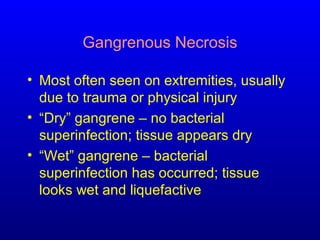 Gangrenous Necrosis
• Most often seen on extremities, usually
due to trauma or physical injury
• “Dry” gangrene – no bacterial
superinfection; tissue appears dry
• “Wet” gangrene – bacterial
superinfection has occurred; tissue
looks wet and liquefactive
 