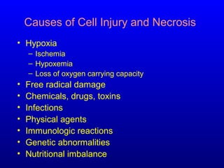 Causes of Cell Injury and Necrosis
• Hypoxia
– Ischemia
– Hypoxemia
– Loss of oxygen carrying capacity
• Free radical damage
• Chemicals, drugs, toxins
• Infections
• Physical agents
• Immunologic reactions
• Genetic abnormalities
• Nutritional imbalance
 