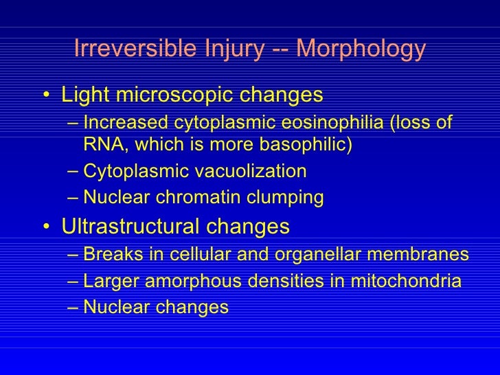 Pathology Cell Injury I