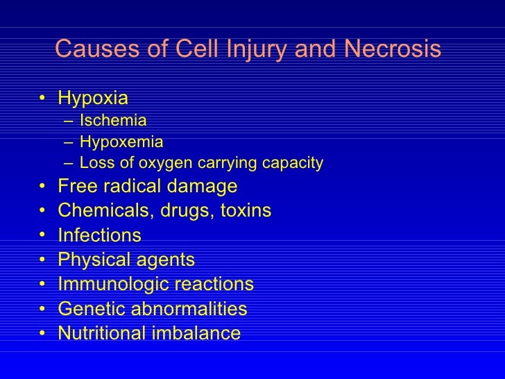 damage of beet cell membranes caused The effects of factors affecting the beetroot (beta vulgaris) are the main factors which disrupt the cell membrane and causes the pigment to leaked out of the cell in the plants if the detergent and temperature damage the beet cell membrane. damage of beet cell membranes caused The effects of factors affecting the beetroot (beta vulgaris) are the main factors which disrupt the cell membrane and causes the pigment to leaked out of the cell in the plants if the detergent and temperature damage the beet cell membrane.