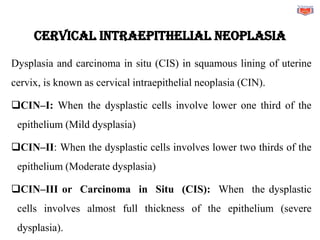 Cervical Intraepithelial Neoplasia
Dysplasia and carcinoma in situ (CIS) in squamous lining of uterine
cervix, is known as cervical intraepithelial neoplasia (CIN).
❑CIN–I: When the dysplastic cells involve lower one third of the
epithelium (Mild dysplasia)
❑CIN–II: When the dysplastic cells involves lower two thirds of the
epithelium (Moderate dysplasia)
❑CIN–III or Carcinoma in Situ (CIS): When the dysplastic
cells involves almost full thickness of the epithelium (severe
dysplasia).
 
