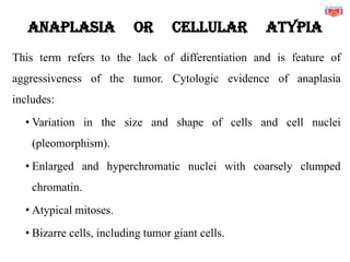 Anaplasia or cellular atypia
This term refers to the lack of differentiation and is feature of
aggressiveness of the tumor. Cytologic evidence of anaplasia
includes:
• Variation in the size and shape of cells and cell nuclei
(pleomorphism).
• Enlarged and hyperchromatic nuclei with coarsely clumped
chromatin.
• Atypical mitoses.
• Bizarre cells, including tumor giant cells.
 