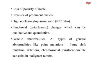 • Loss of polarity of nuclei.
• Presence of prominent nucleoli.
• High nuclear-cytoplasmic ratio (N/C ratio).
• Functional (cytoplasmic) changes which can be
qualitative and quantitative.
• Genetic abnormalities- All types of genetic
abnormalities like point mutations, frame shift
mutation, deletions, chromosomal translocations etc
can exist in malignant tumors.
 
