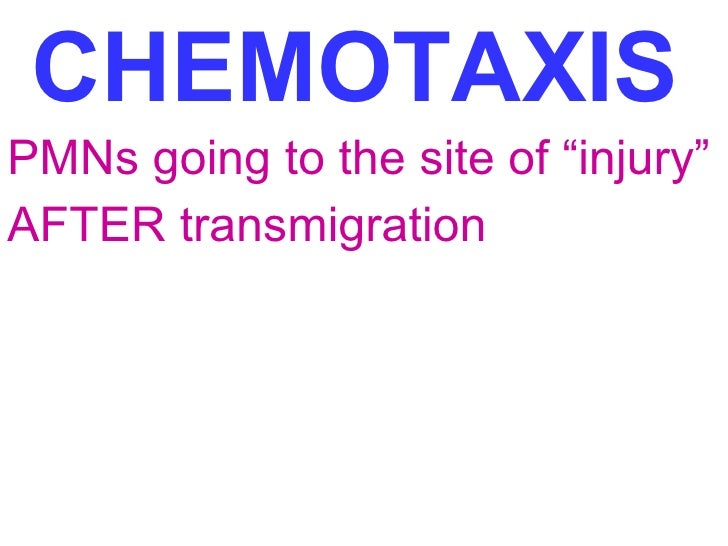 Pathology cptr2 ( acute & chronic inflammation)