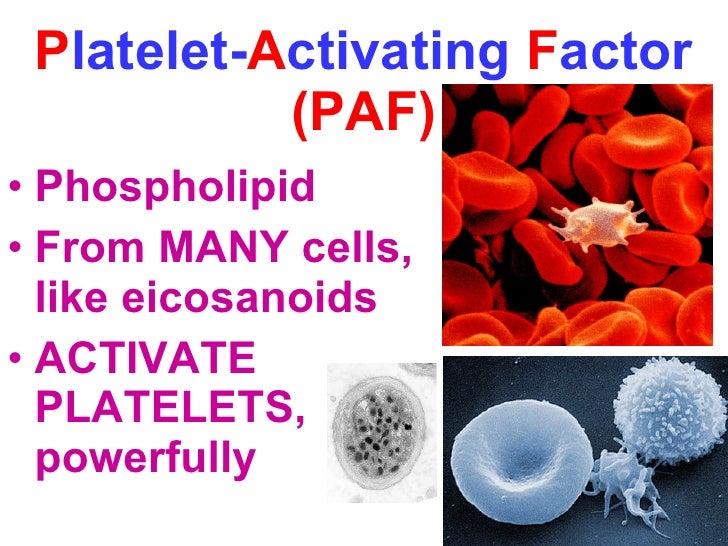 Pathology cptr2 ( acute & chronic inflammation)
