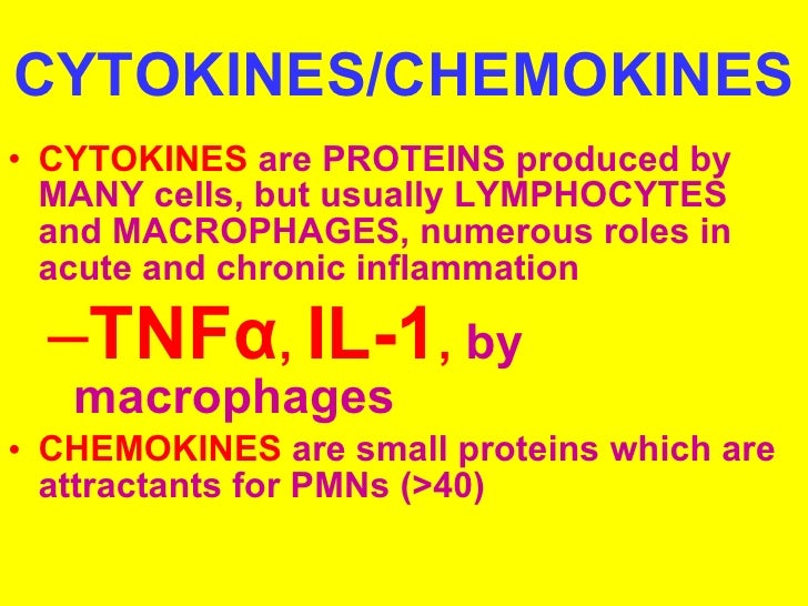 Pathology cptr2 ( acute & chronic inflammation)