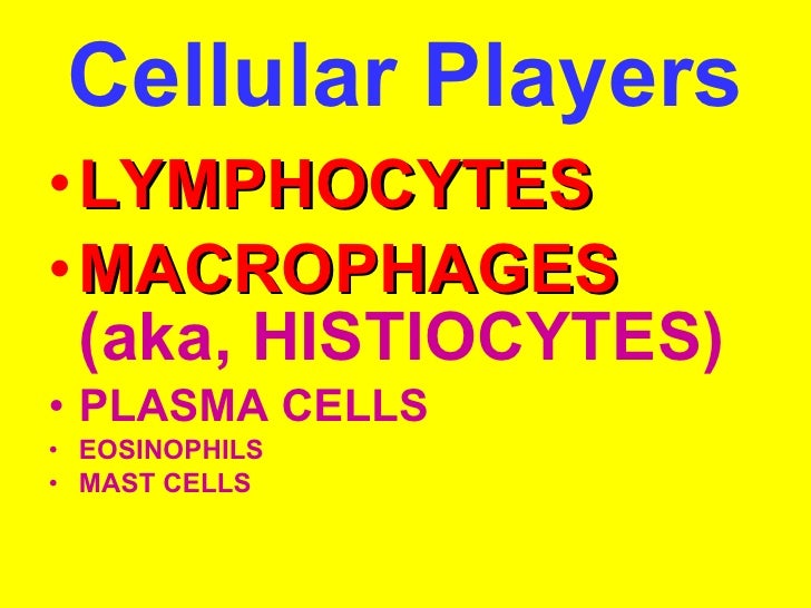 Pathology cptr2 ( acute & chronic inflammation)