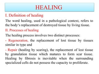 PATHOLOGY -Dr- Ammar Omar -Assistant professor of Histopathology ...