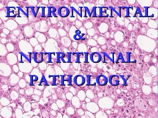 ENVIRONMENTALENVIRONMENTAL
&&
NUTRITIONALNUTRITIONAL
PATHOLOGYPATHOLOGY
 