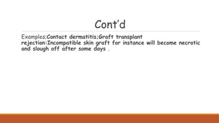Incompatible Skin Comprehensive Overview of Abnormal Immune Function and Hypersensitivity ...