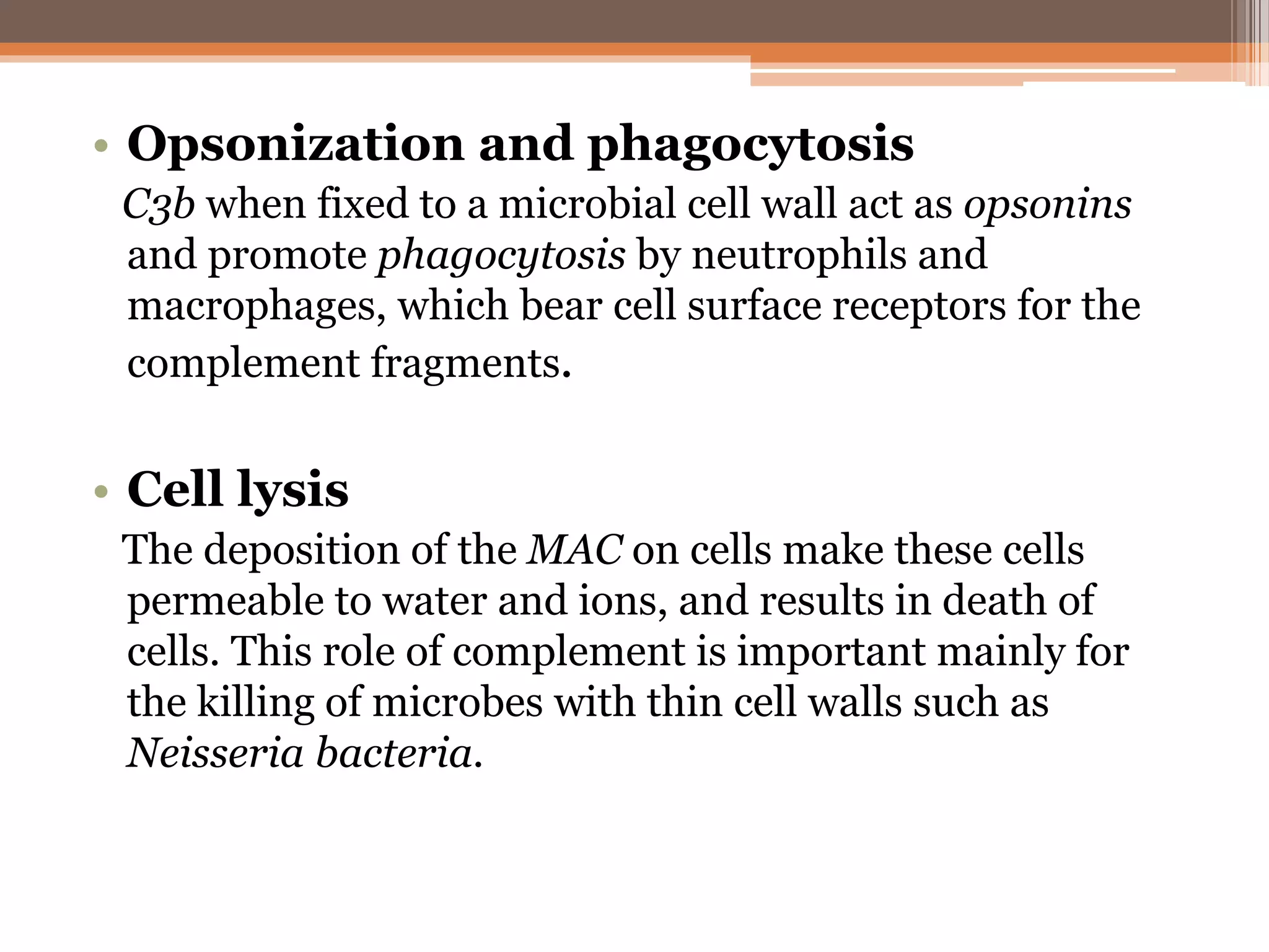 • Opsonization and phagocytosis
C3b when fixed to a microbial cell wall act as opsonins
and promote phagocytosis by neutrophils and
macrophages, which bear cell surface receptors for the
complement fragments.
• Cell lysis
The deposition of the MAC on cells make these cells
permeable to water and ions, and results in death of
cells. This role of complement is important mainly for
the killing of microbes with thin cell walls such as
Neisseria bacteria.
 