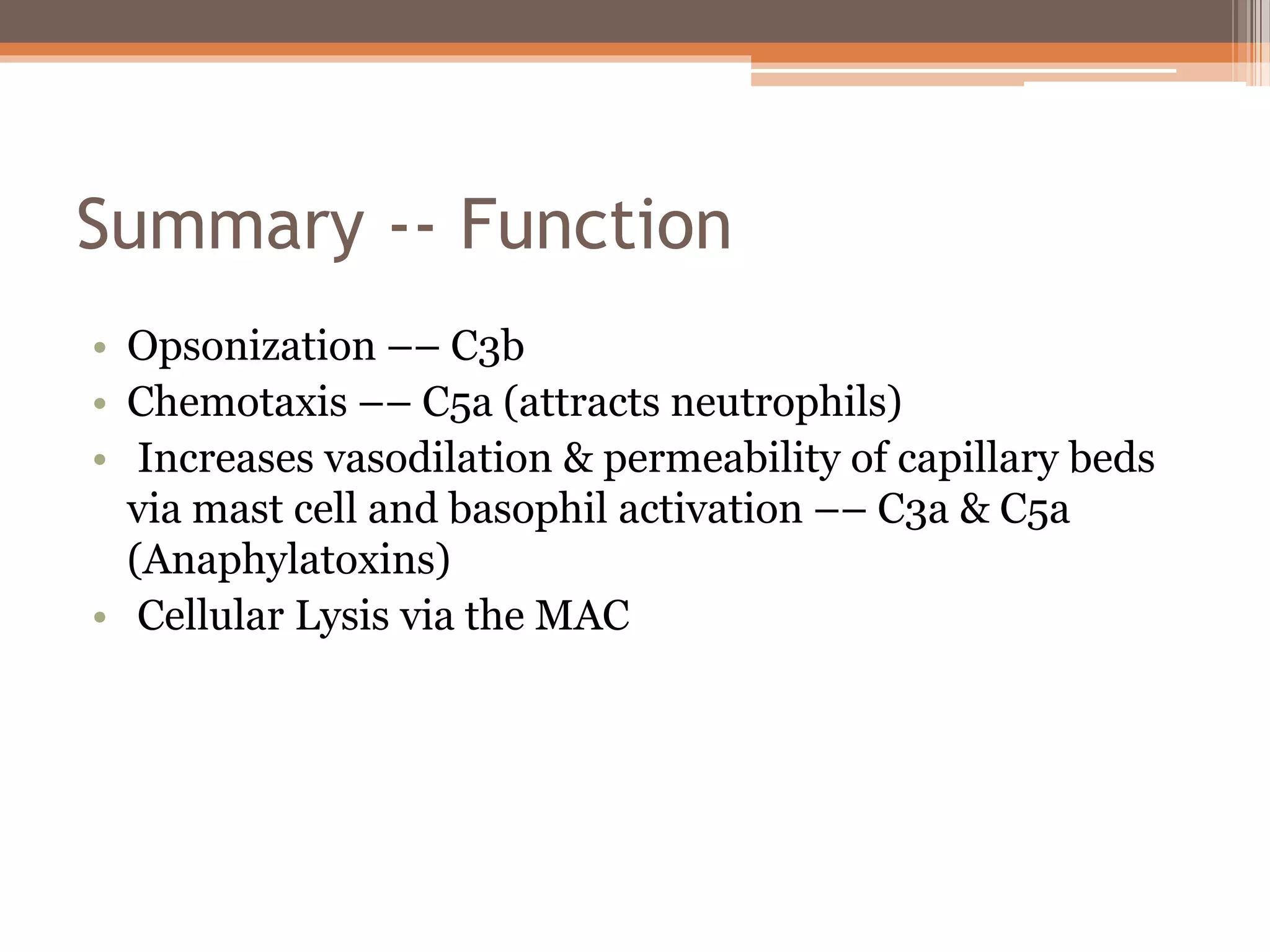 Summary -- Function
• Opsonization –– C3b
• Chemotaxis –– C5a (attracts neutrophils)
• Increases vasodilation & permeability of capillary beds
via mast cell and basophil activation –– C3a & C5a
(Anaphylatoxins)
• Cellular Lysis via the MAC
 