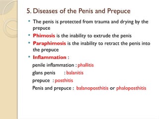 Pathology-OF-MALE-reproductive-system-pptx.pptx