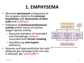 1. EMPHYSEMA
• Abnormal permanent enlargement of
the airspaces distal to the terminal
bronchioles with destruction of their
walls and no fibrosis
• Imbalance of protease/antiprotease
activity and/or excess of reactive
oxygen species activity
– Excessive activation of neutrophil
and macrophage elastase
associated with chronic smoking
– Hereditary α1 anti-trypsin
deficiency
• Dyspnea and hyperventilation but with
adequate gas exchange (until very late
in disease), aka “pink puffers”
10/24/2023 11
 