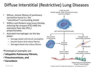 Diffuse Interstitial (Restrictive) Lung Diseases
• Diffuse, chronic fibrosis of pulmonary
connective tissue (i.e. the
“interstitium”) surrounding alveoli
• Stiffens and thickens lung tissue thereby
reducing the airspace (FVC) AND the
expiratory flow rate (FEV1)
proportionately
• Activated macrophages are the key
player:
– Damage alveoli and recruit neutrophils
– Secrete factors that induce fibrosis
– Damaged alveoli also induce fibrosis
•Prototypical examples are
Idiopathic Pulmonary Fibrosis,
Pneumoconioses, and
Sarcoidosis
10/24/2023 36
 
