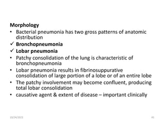 Morphology
• Bacterial pneumonia has two gross patterns of anatomic
distribution
 Bronchopneumonia
 Lobar pneumonia
• Patchy consolidation of the lung is characteristic of
bronchopneumonia
• Lobar pneumonia results in fibrinosuppurative
consolidation of large portion of a lobe or of an entire lobe
• The patchy involvement may become confluent, producing
total lobar consolidation
• causative agent & extent of disease – important clinically
10/24/2023 45
 