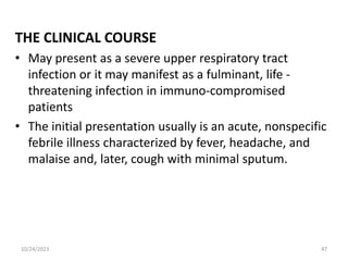 THE CLINICAL COURSE
• May present as a severe upper respiratory tract
infection or it may manifest as a fulminant, life -
threatening infection in immuno-compromised
patients
• The initial presentation usually is an acute, nonspecific
febrile illness characterized by fever, headache, and
malaise and, later, cough with minimal sputum.
10/24/2023 47
 