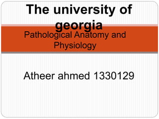 Pathological Anatomy and
Physiology
The university of
georgia
Atheer ahmed 1330129
 